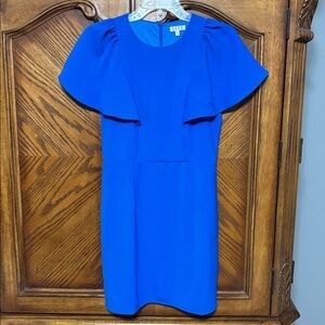 TCEC Royal Blue Dress with Flutter Sleeves